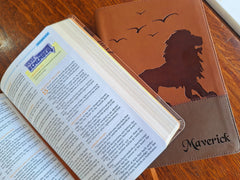 Custom Engraved KJV Kid's Bible