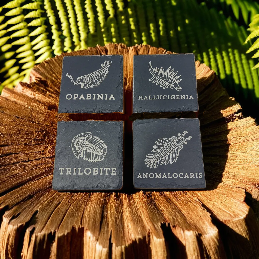 Set of 4 slate coasters featuring prehistoric Cambrian animals