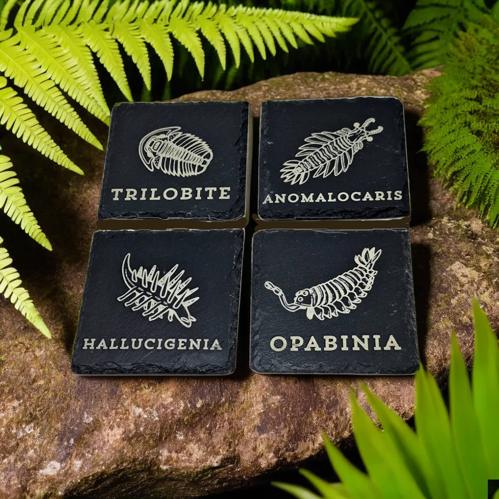 Set of 4 slate coasters featuring prehistoric Cambrian animals