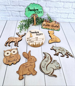 Woodland Creatures Themed Baby Milestones Signs With 1-12 Months Signs, Hello World Sign, Custom Name Sign, and Birth Announcement