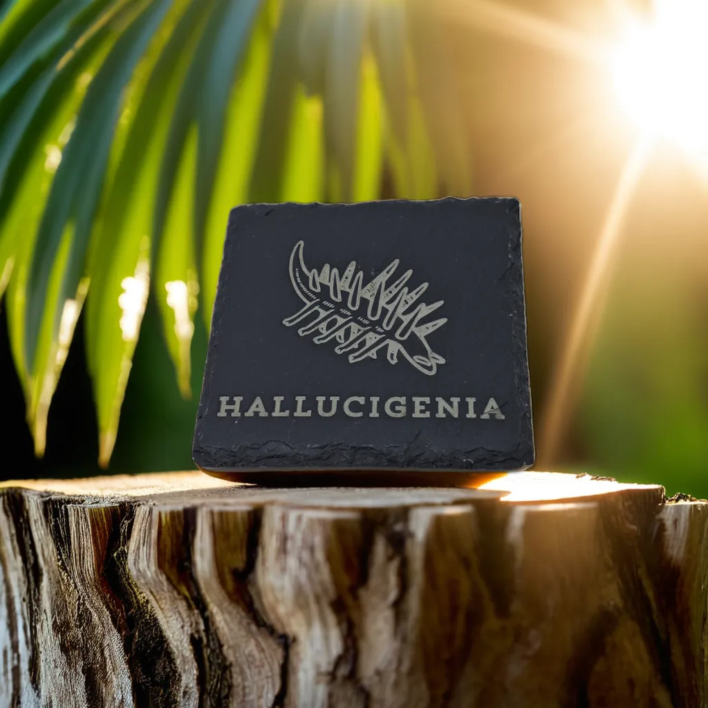 Black slate coasters with trilobite and anomalocaris artwork