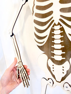 3.5 ft Posable Wooden Skeleton Halloween Decoration